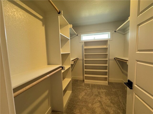 spacious closet with dark carpet