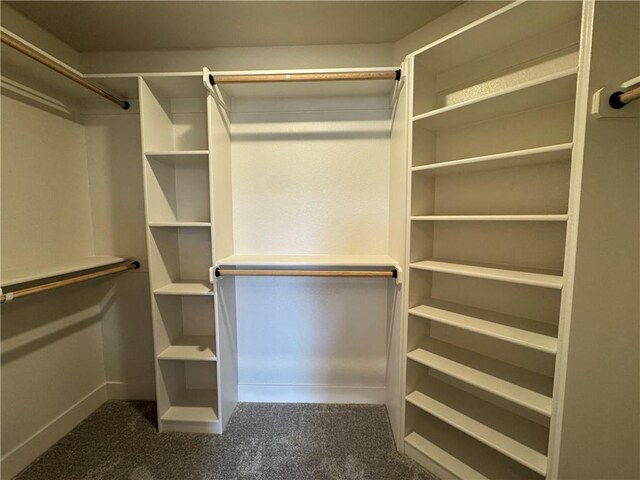 walk in closet featuring dark colored carpet