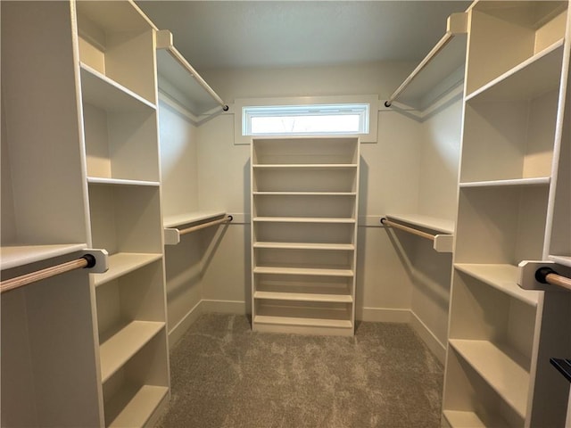 walk in closet featuring dark carpet