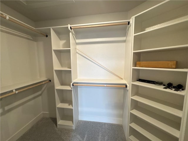 walk in closet featuring carpet