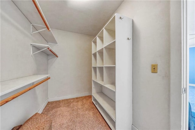 spacious closet with light carpet