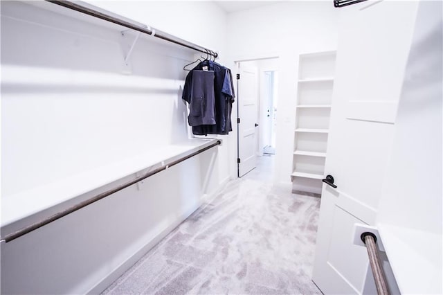 spacious closet with light colored carpet