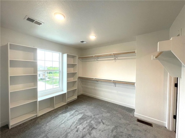 spacious closet with visible vents and carpet