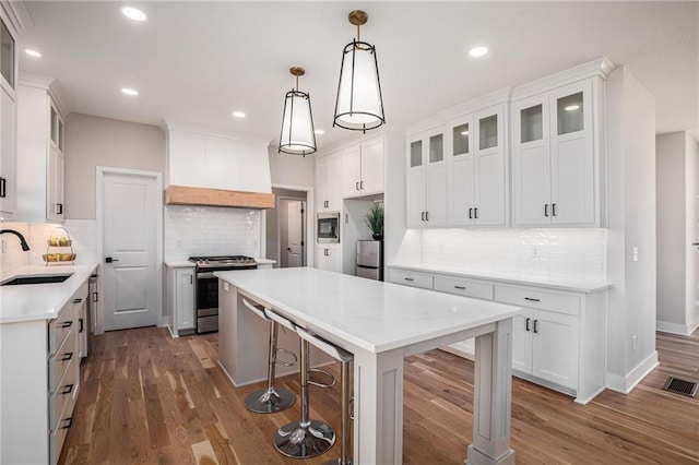 kitchen with visible vents, a sink, dark wood-style floors, appliances with stainless steel finishes, and custom exhaust hood