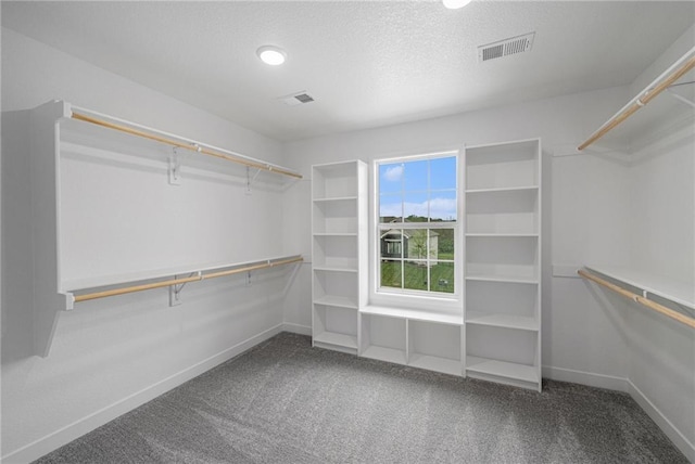 spacious closet with visible vents and carpet floors