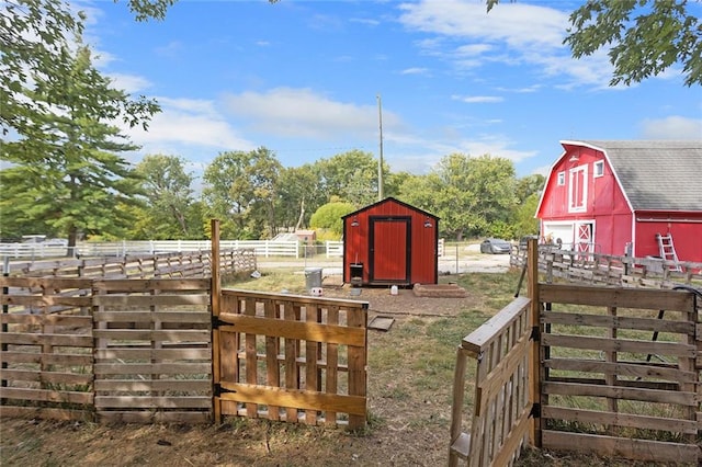 view of yard with a storage unit