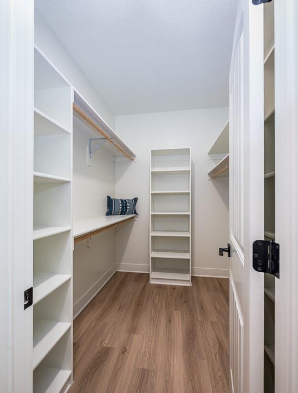 spacious closet featuring wood finished floors