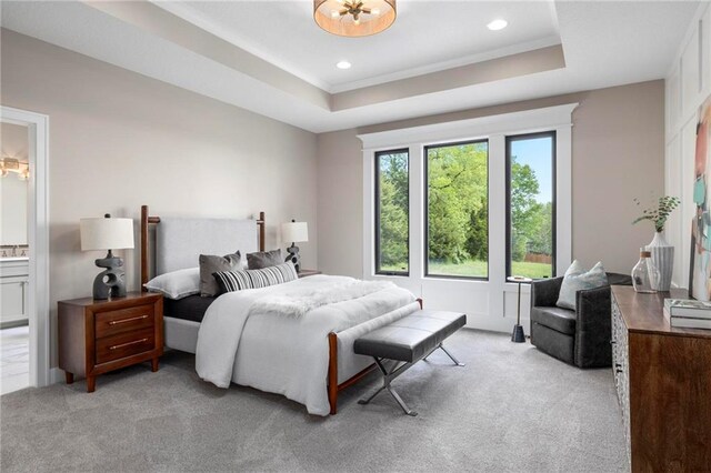 carpeted bedroom with a raised ceiling