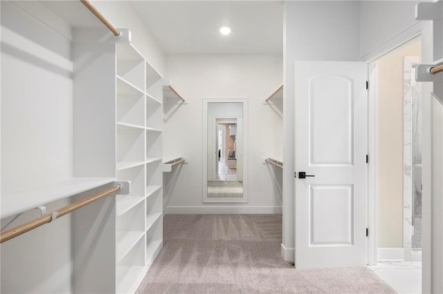 walk in closet with carpet floors