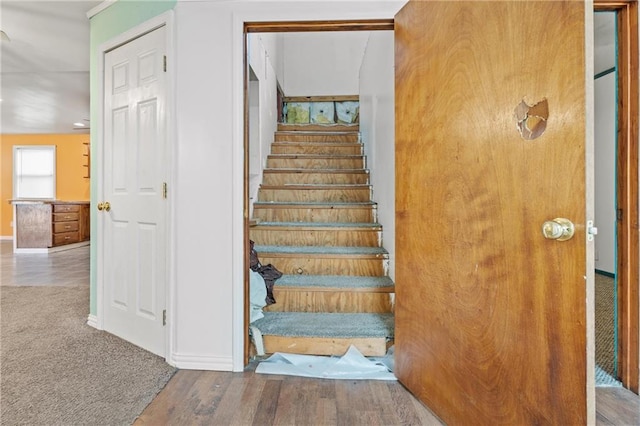 stairs with hardwood / wood-style floors