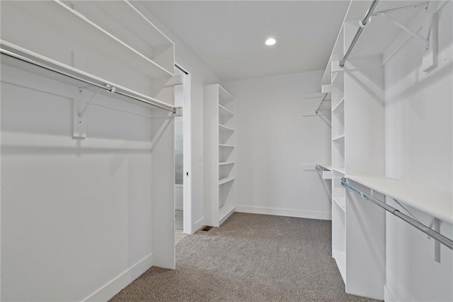 walk in closet featuring carpet floors