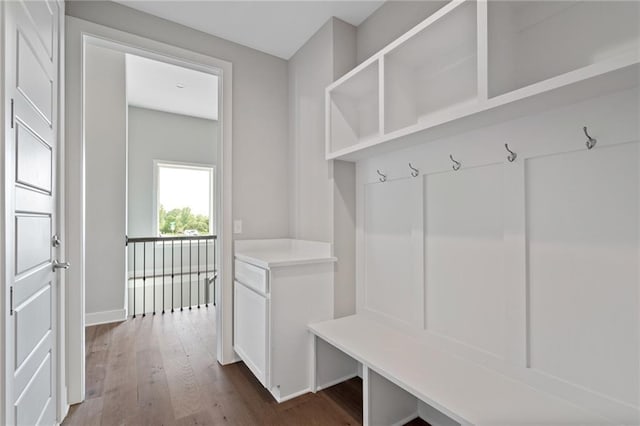 mudroom with baseboards and dark wood-type flooring