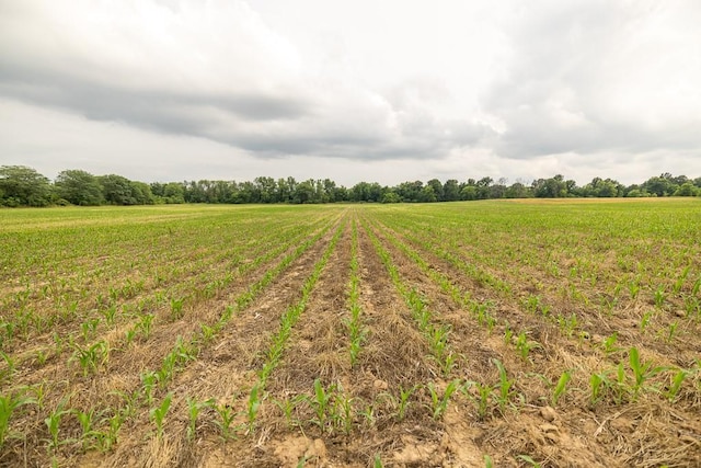 TRACT6 Hardsaw Rd, Oak Grove, MO 64029 - photo 29