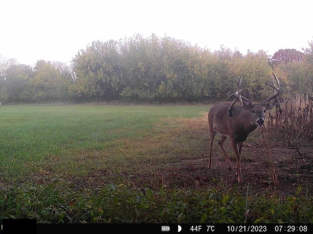 TRACT6 Hardsaw Rd, Oak Grove, MO 64029 - photo 5