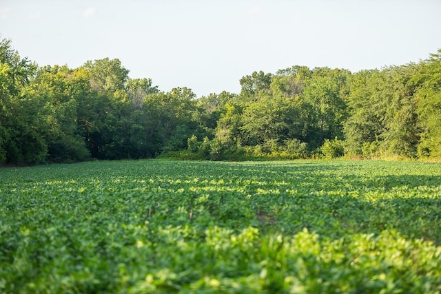 TRACT6 Hardsaw Rd, Oak Grove, MO 64029 - photo 10