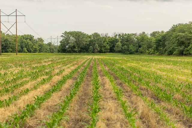 TRACT6 Hardsaw Rd, Oak Grove, MO 64029 - photo 17