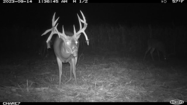 TRACT6 Hardsaw Rd, Oak Grove, MO 64029 - photo 39
