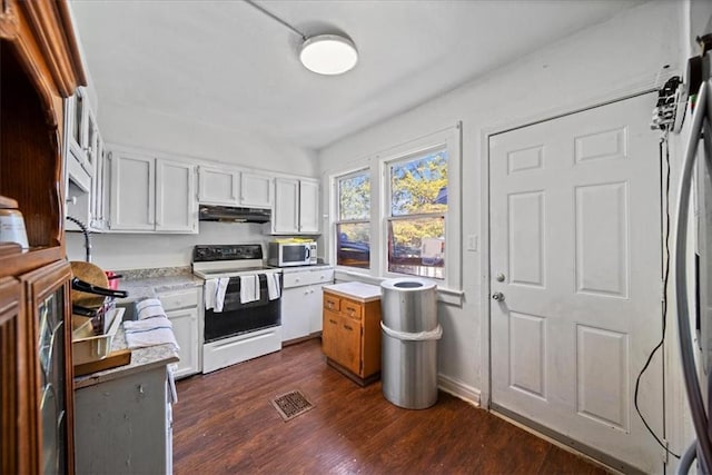3917 Benton Blvd, Kansas City, MO 64130 - kitchen featuring white electric range, stainless steel microwave, under cabinet range hood, and light countertops