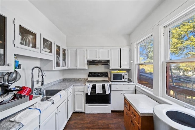 3917 Benton Blvd, Kansas City, MO 64130 - kitchen featuring white electric range oven, stainless steel microwave, under cabinet range hood, a sink, and light countertops