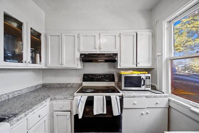 3917 Benton Blvd, Kansas City, MO 64130 - kitchen featuring under cabinet range hood, range with electric cooktop, stainless steel microwave, and white cabinets