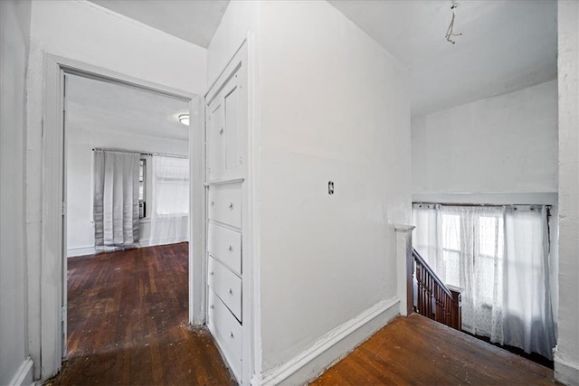 hallway with dark hardwood / wood-style flooring