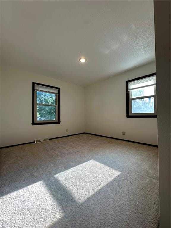 spare room featuring carpet floors and a healthy amount of sunlight