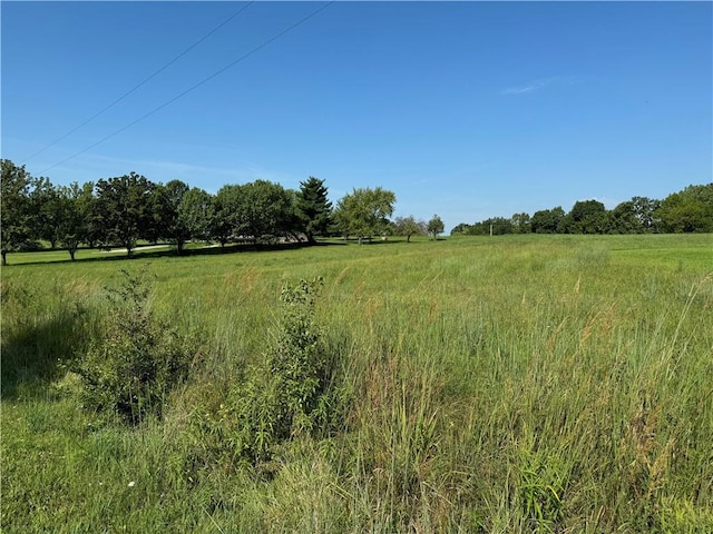 Listing photo 2 for Fisherman Rd, Altamont MO 64620