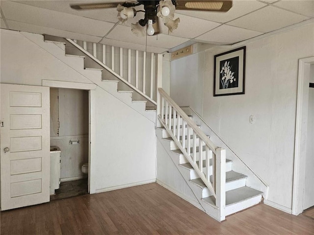 stairs with hardwood / wood-style flooring and a drop ceiling