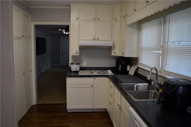 kitchen featuring dark wood finished floors, dark countertops, white cabinets, a sink, and under cabinet range hood