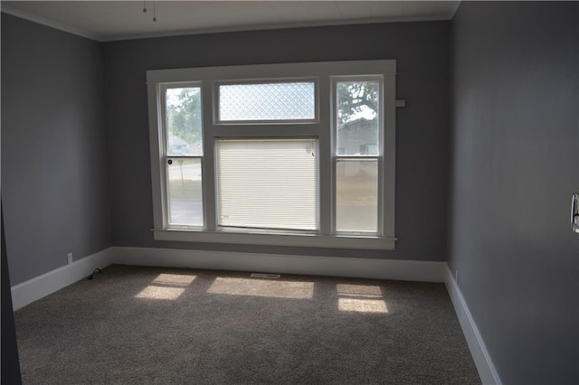 spare room with crown molding, carpet floors, and baseboards