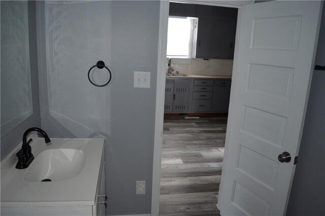 bathroom with wood finished floors and vanity