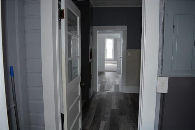 hallway with dark wood-style floors and electric panel