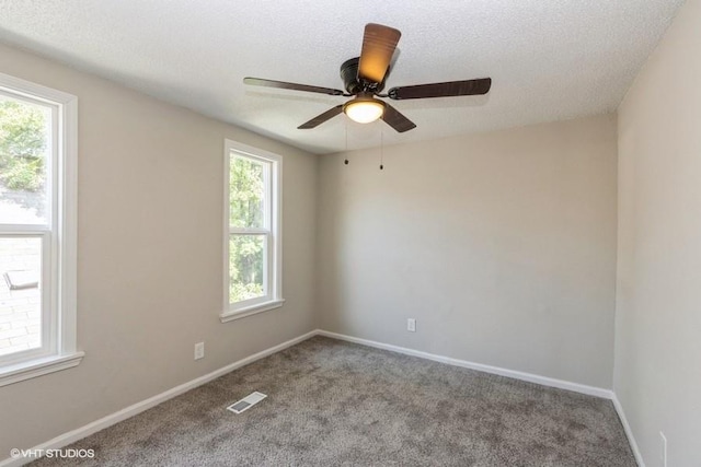 carpeted spare room with ceiling fan, a wealth of natural light, and a textured ceiling