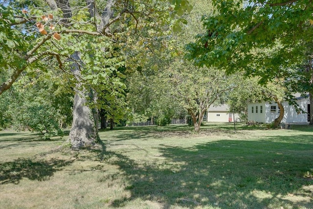 1040 Stone Ave, Independence, MO 64055 - view of green lawn