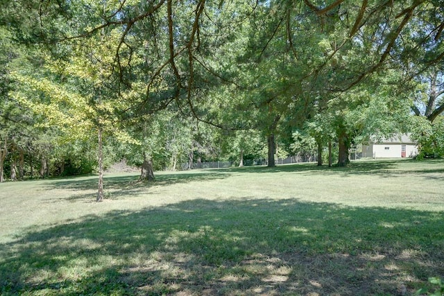 1040 Stone Ave, Independence, MO 64055 - view of green lawn