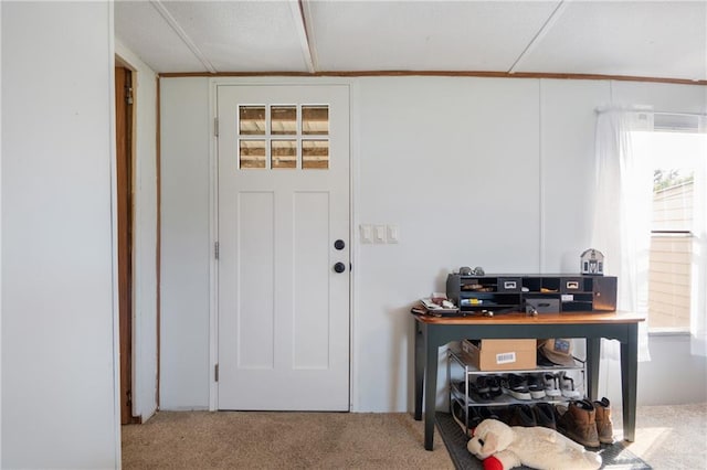 interior space with carpet flooring and plenty of natural light