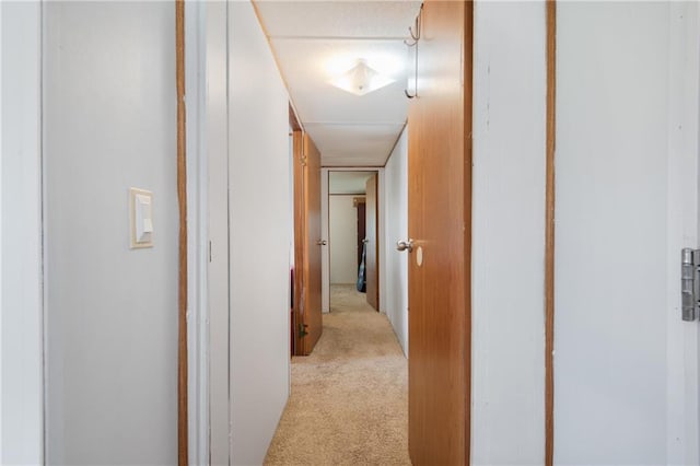 hallway with light colored carpet