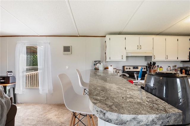 kitchen featuring under cabinet range hood, carpet floors, a peninsula, a kitchen breakfast bar, and stainless steel range with electric cooktop