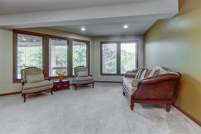 living area with light carpet