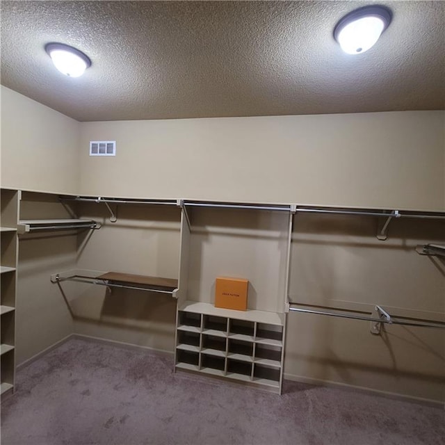 spacious closet with carpet