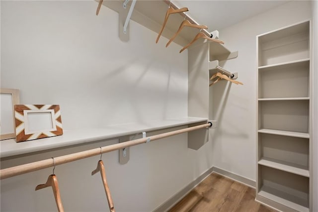 spacious closet featuring wood-type flooring