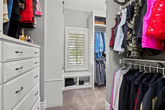 spacious closet with carpet floors