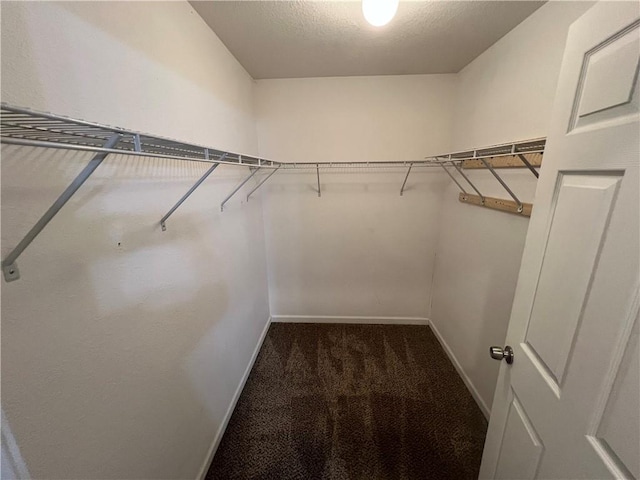 walk in closet featuring dark colored carpet