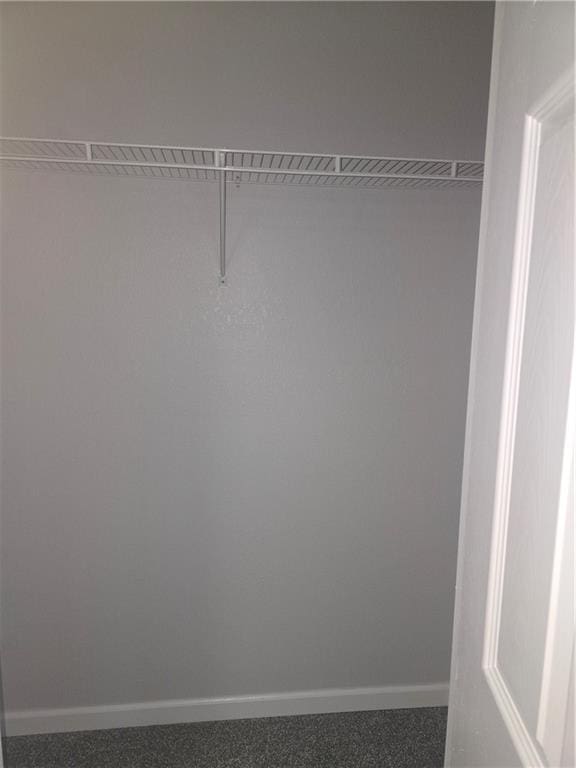 spacious closet featuring carpet flooring