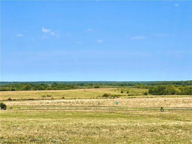 view of local wilderness with a rural view