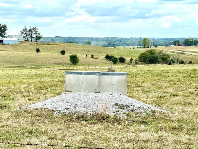 view of yard with a rural view