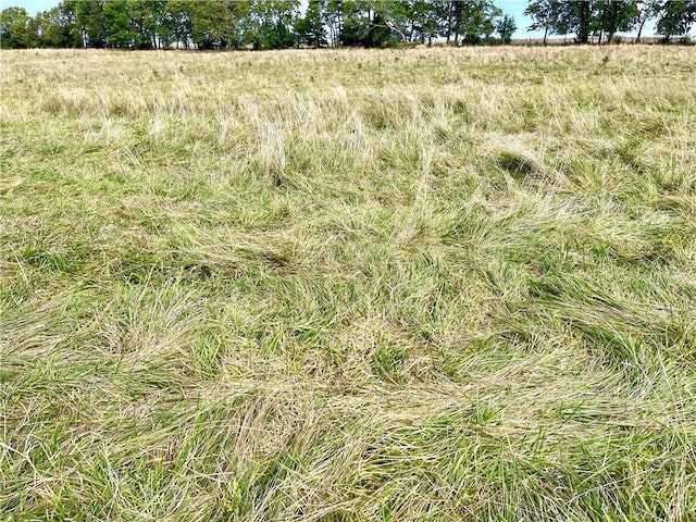 view of nature with a rural view