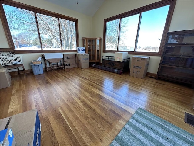 living room with wood-type flooring, vaulted ceiling, and a healthy amount of sunlight