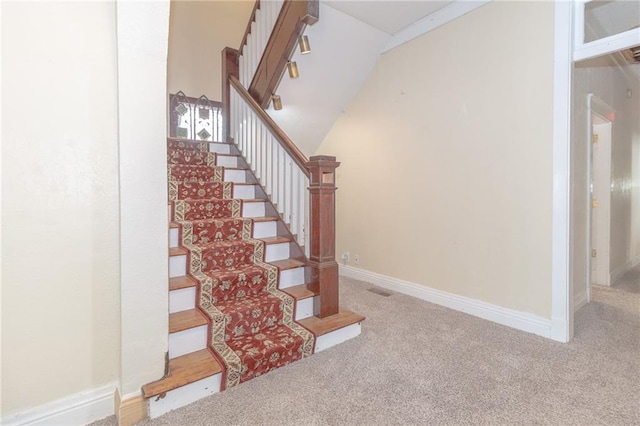 staircase featuring carpet