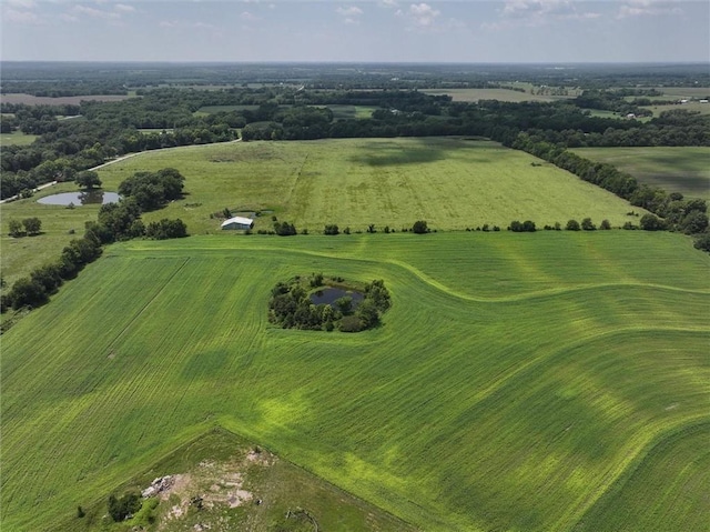 29400 S Sawmill Rd, Harrisonville, MO 64701 - photo 1